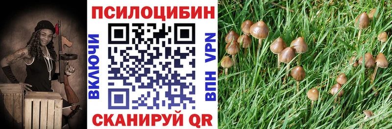 Псилоцибиновые грибы Cubensis хочу Кяхта